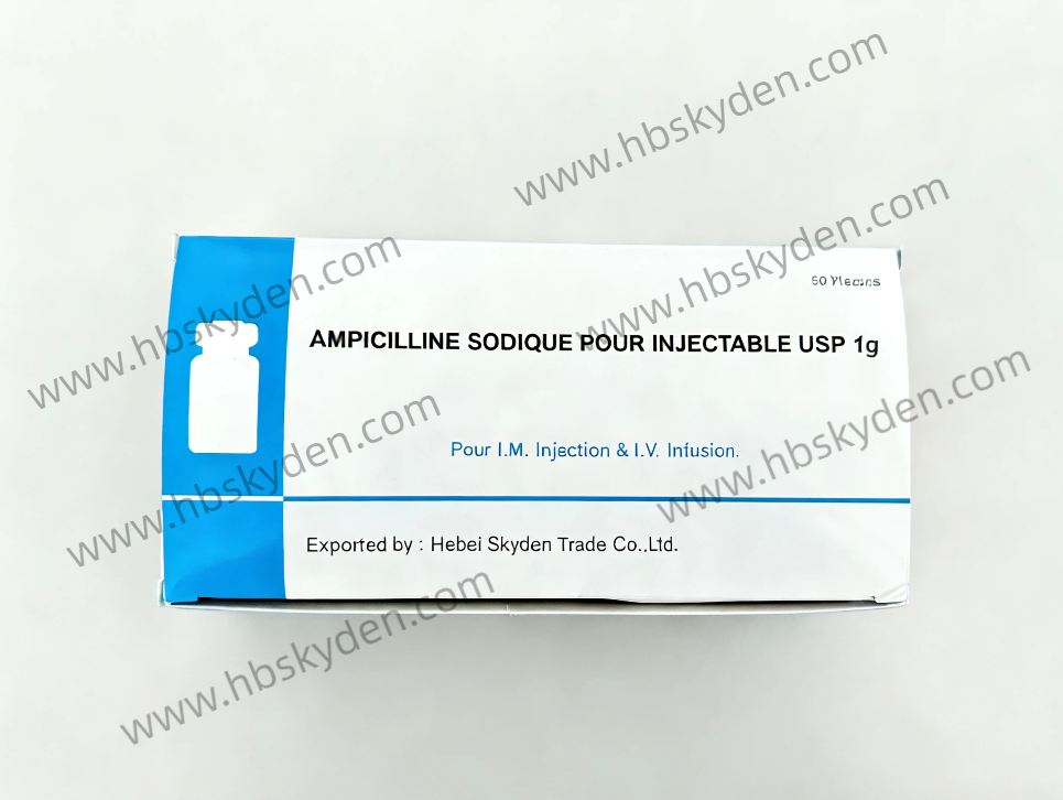 AMPICILLINE SODIQUE POUR INJECTABLE