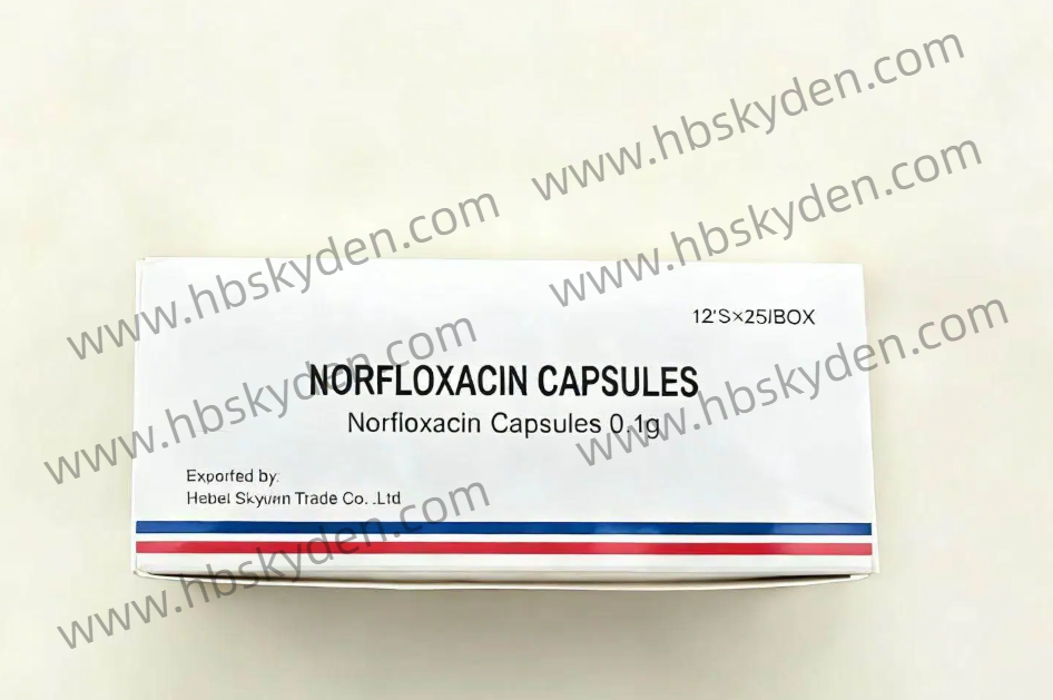 NORFLOXACIN CAPSULES 0.1G